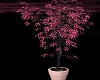 animated pink plant
