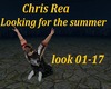 Looking for the summer