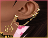 ❁Dina Earrings Gold