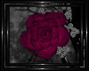 !T! Gothic | RoseClipLP