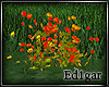 (ED1)Flowers-12