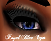 Royal Blue Eyes