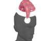 V1 Santa Hat Animated