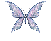 lavender butterfly