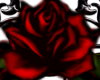 Red Gothic Roses 