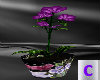 Purple Flower Plant 