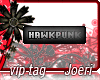 j| Hawkpunk  Art