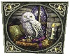 Pagan Owl Square Rug