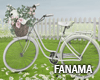White bicycle |FM619