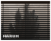 Window Blinds