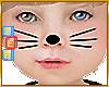 Kids Tiger Face Paint