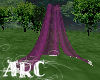 ARC Wed Drape Magenta