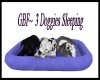 GBF~ 3 Doggies Sleeping