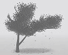 |Anu|Dark Tree*1