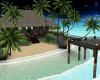 Tropical Nite Island 2