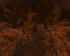 Autumn Forest At Night