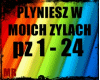 PLYNIESZ W MOICH ZYLACH