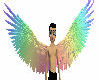 rainbow wings