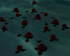 NNH Water Roses