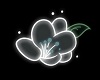 Rose Wall Neon