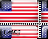 [MK] Sticker U.S.A.