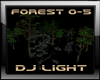 Forest Mixed Tree DJ