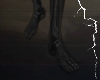 DX Skull Feet