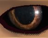 [SaT] Demon eye