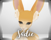 sadie ✿ alert ears