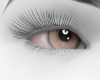 Brown M/F Eyes
