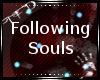 [TFD]Following Souls