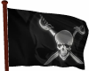 Pirate Flag & Pole