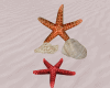 Sea shells and stars