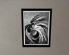 Black & Gray Frame 1