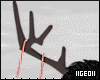 【G】deer Xmas Bundle