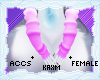 ꨄStacy Warmersꨄ