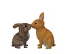 Love Bunnies Animated