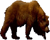 Grizzly Dance Marker