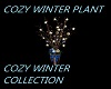 Cozy Winter Plant