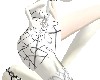 anim