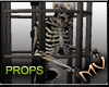 (MV) Caged Skeleton