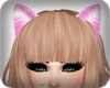 BW*Pink Caty Ears