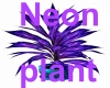 Neon Plant
