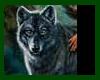 Wolf Inc Nation Rug 1
