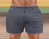 Gray Summer Shorts
