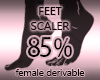 Foot Scale Size 85%