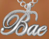 Bae Platinum Chain 4