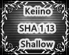 Keiino SHALLOW