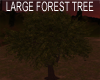 ROMANTIC FOREST TREE