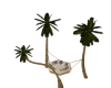 Palm Fun